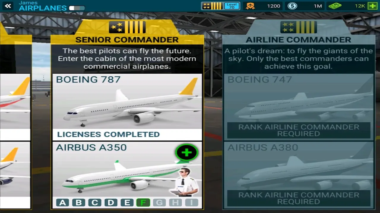 Atterraggio in pista con strumentazione completa in Airline Commander